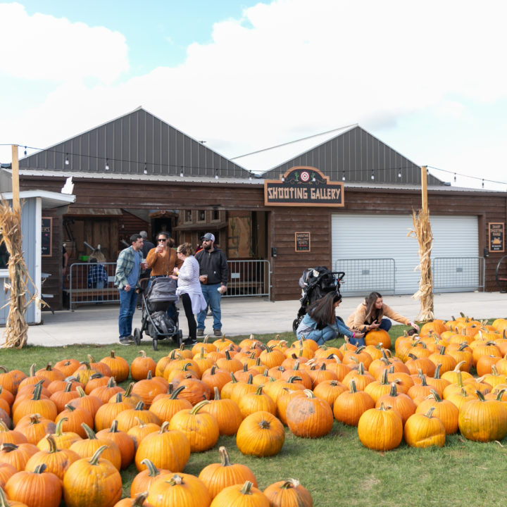 Westpointpumpkinpatch 105 1 Scaled Pumpkin Fest Chicago Westpoint Financial Group