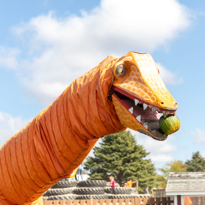 Westpointpumpkinpatch 241 1 Scaled Pumpkin Fest Chicago Westpoint Financial Group