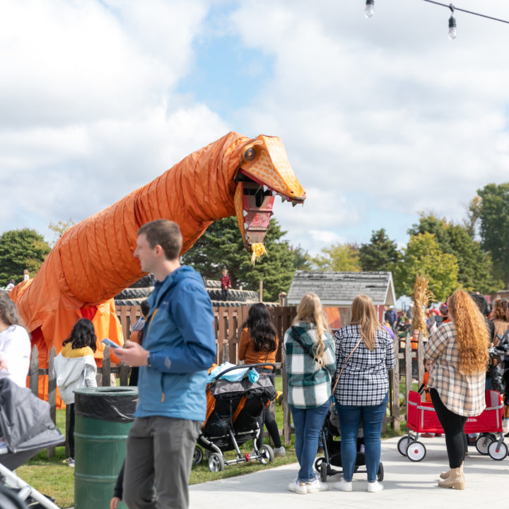 Westpointpumpkinpatch 25 1 Scaled Pumpkin Fest Chicago Westpoint Financial Group