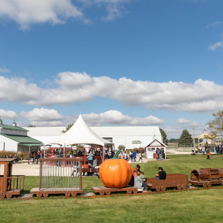 Westpointpumpkinpatch 265 1 Scaled Pumpkin Fest Chicago Westpoint Financial Group