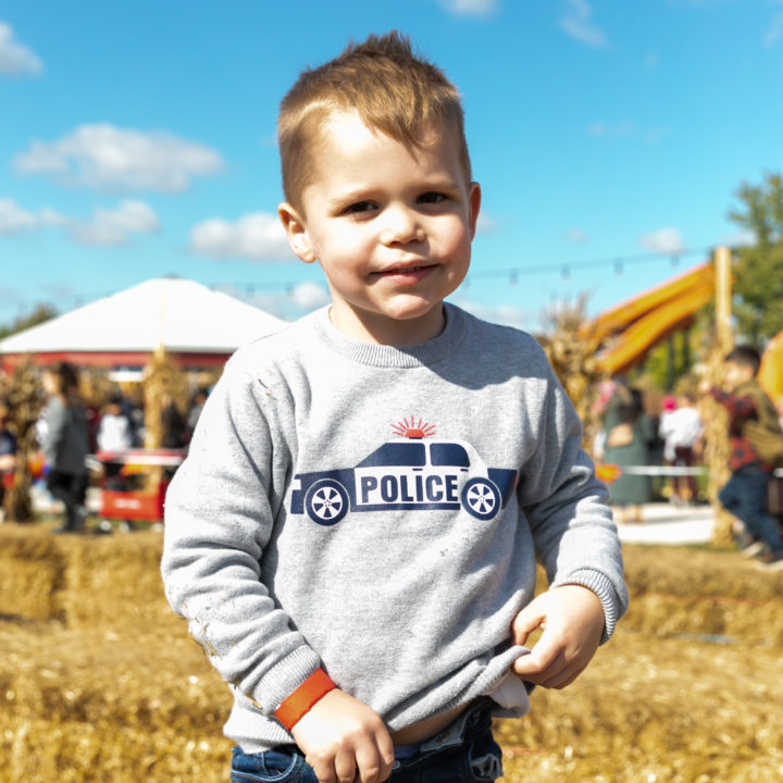 Westpointpumpkinpatch 393 1 Scaled Pumpkin Fest Chicago Westpoint Financial Group