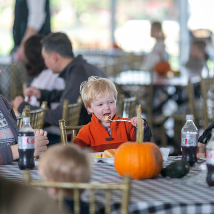 Westpointpumpkinpatch 40 1 Scaled Pumpkin Fest Chicago Westpoint Financial Group