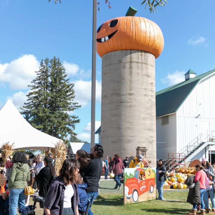 Westpointpumpkinpatch 402 1 Scaled Pumpkin Fest Chicago Westpoint Financial Group