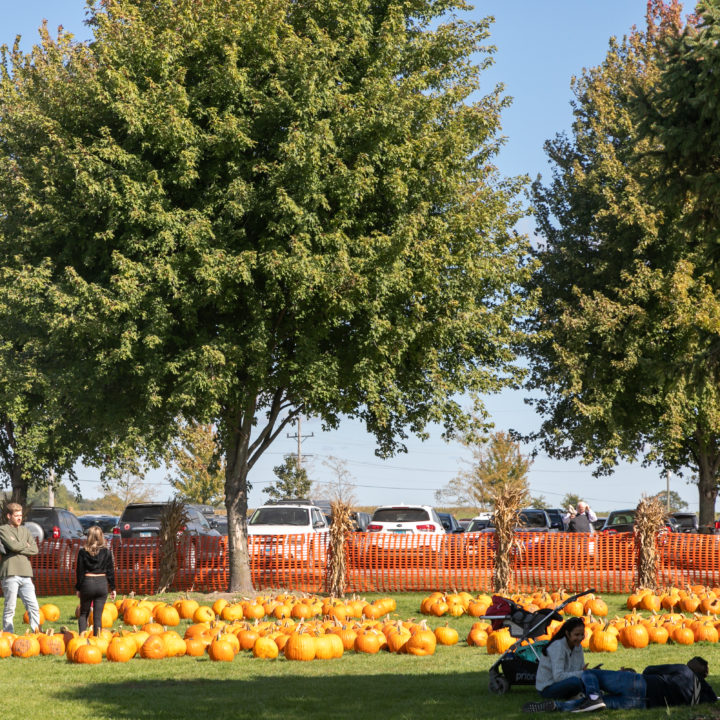 Westpointpumpkinpatch 408 1 Scaled Pumpkin Fest Chicago Westpoint Financial Group