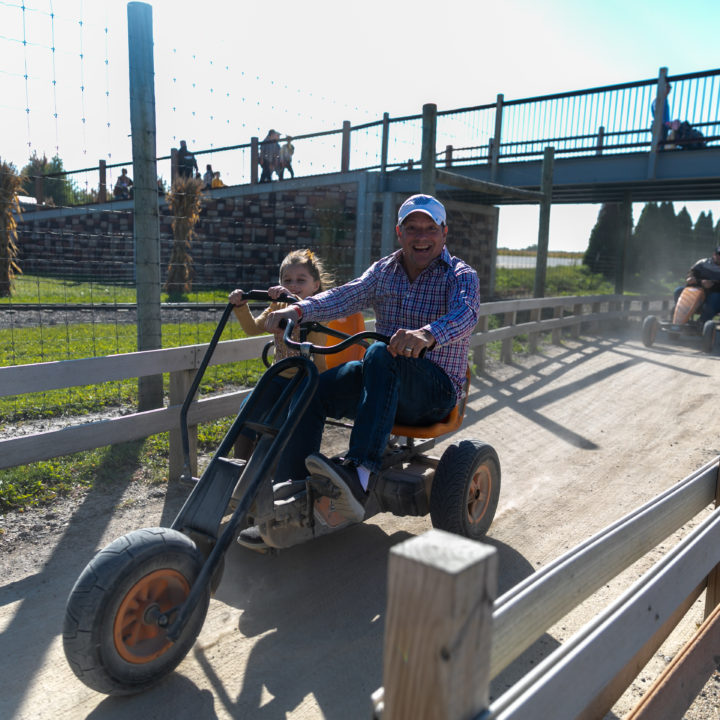 Westpointpumpkinpatch 491 1 Scaled Pumpkin Fest Chicago Westpoint Financial Group