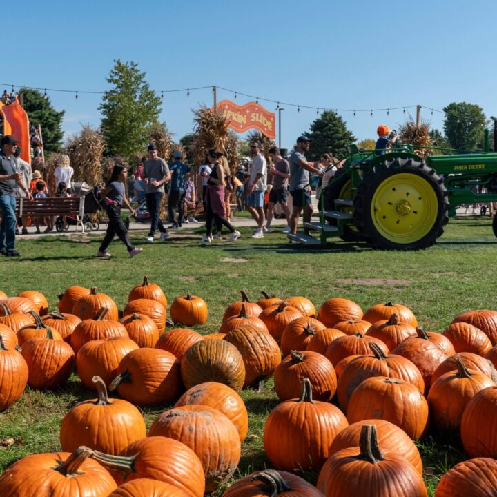 231001 Westpoint Goebberts Pumpkinappleorchard 2392 Pumpkin Fest Chicago Westpoint Financial Group