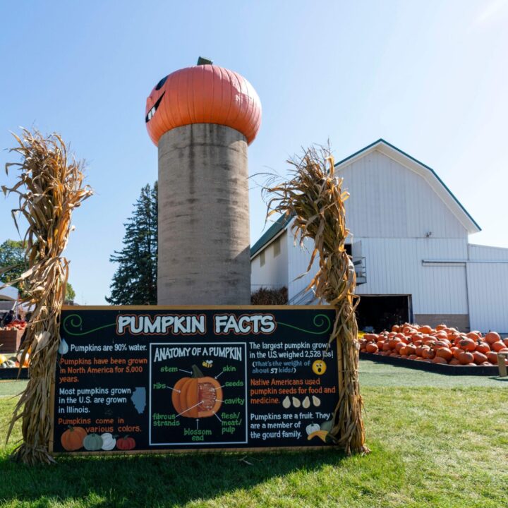 231001 Westpoint Goebberts Pumpkinappleorchard 2399 Pumpkin Fest Chicago Westpoint Financial Group