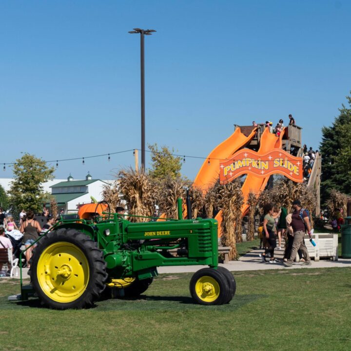 231001 Westpoint Goebberts Pumpkinappleorchard 2426 Pumpkin Fest Chicago Westpoint Financial Group